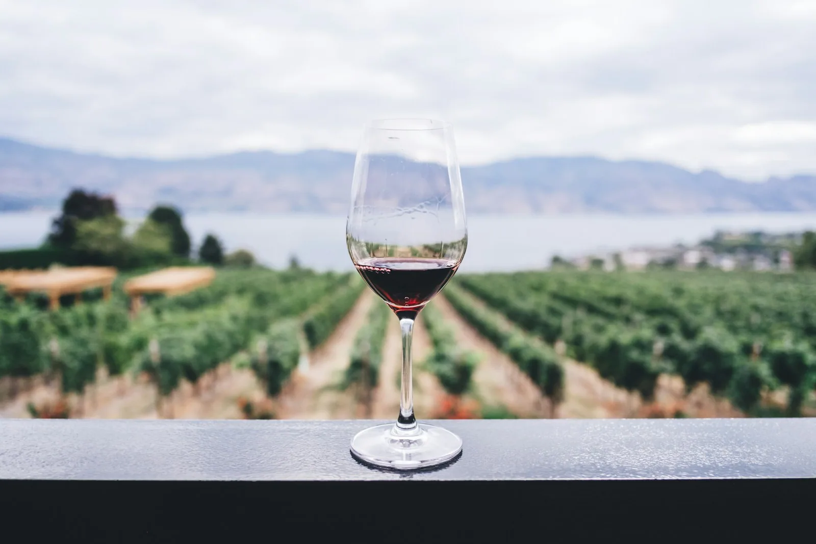 Actifs tangibles vin et passion — diversification patrimoine Suisse